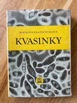 Kvasinky - 2