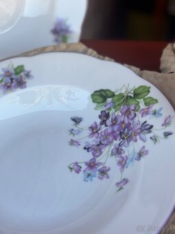 Tanierova sada fialky - 2