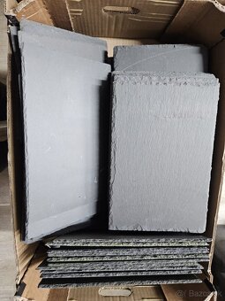 Bridlice do akvaria - bridlica - 2