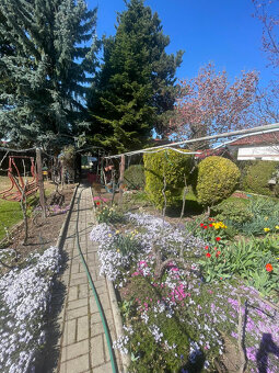 Oáza pokoja v Leviciach - 2