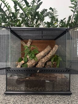 Exo Terra 45 × 45 × 45 cm - 2