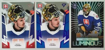 Hokejové kartičky - HLAVAJ, TOMEK, ŠKORVANEK.... - 2
