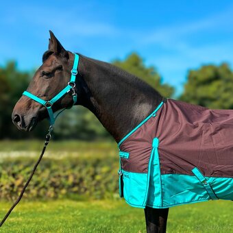 Výbehová deka 50g - 2