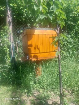 Predam včely aj s uľom - 2