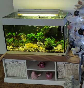 predam akvarium - 2