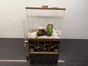 🐜 Predám formikárium + kolóniu Camponotus nicobarensis (krá - 2