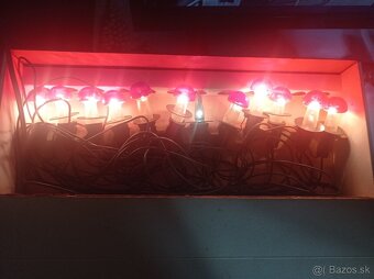 Predám vianočné sviečky hríb - 2