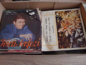 Platne  LP SP EP  cca 150 ks - 2