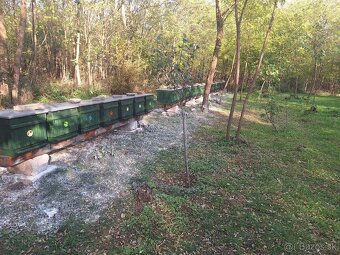 Predám krásnu včelnicu - 2