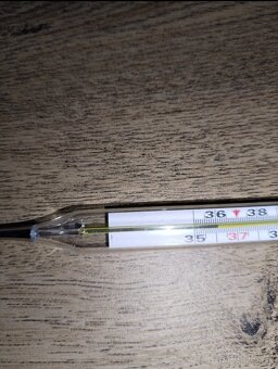 Ortuťový teplomer - 2