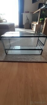 Terarium - 2