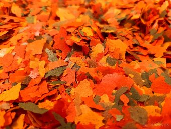 Dajana Colour flakes - 2