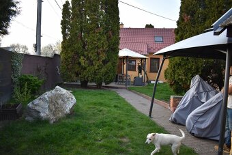 Zariadený 3i rodinný dom v obci Gajary - 2
