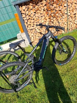 Wheeler I SEEN SE (L) - 2