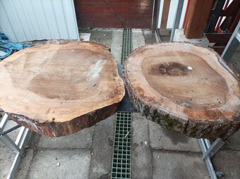 Orechové  dubové koláče - 2