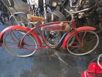 Prodám Anglický eagle - - 2