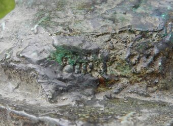 Busta Juraj Čutek - 2