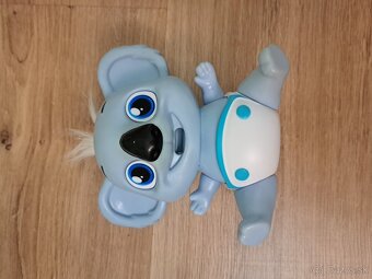 Koala - 2