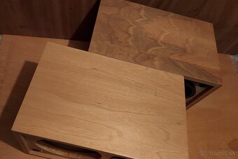 TESLA SKRINKY - 2