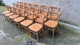 Ton židle světlé (č.36) s nový lakem - 2