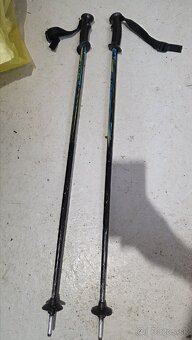 Lyziarske detské paličky - 2