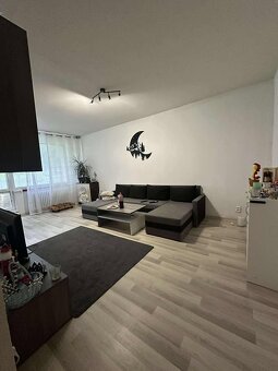 Ponúkam na prenájom veľký 2 izbový byt - 2