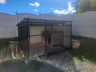 Koterec s budou. - 2