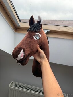 Predam hobby horse - 2