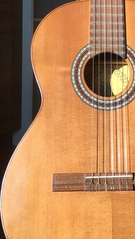 Koncertná gitara z rakúska - 2