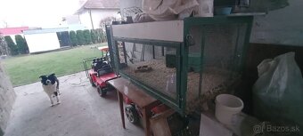 Klietka, voliera - 2