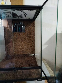 Terarium 60x45x45 - 2