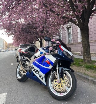 Suzuki TL 1000R - 2