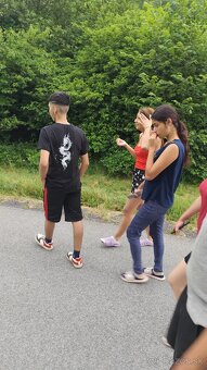 Predám škoda Fabiu na náhradné dieli - 2