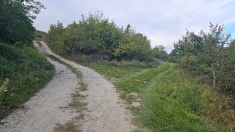 Registrovaný, obrábaný vinič 14,7 áru - 2