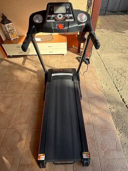 Beziaci pas Duvlan Cairo - 2