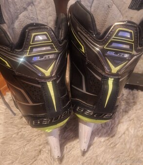 Bauer Elite brankarske korcule vel.8, fit 2 - 2
