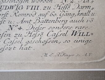 Ridinger   - medirytina  /vyše 270.ročná/ - 2