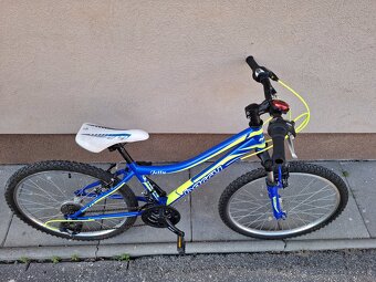 Bicykel Harry Jetty 24' - 2