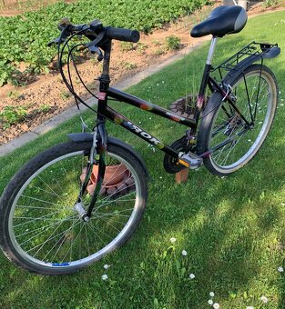 Dámsky bicykel - 2