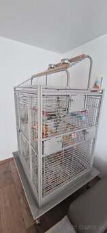 Predam klietku pre papagaja + moznost kupit aj s papagajom - 2