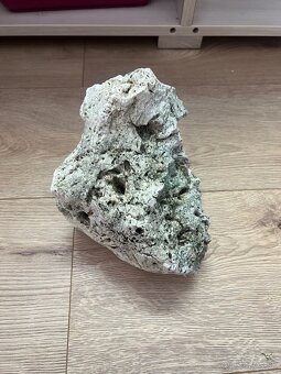 Akva veci,ryby - 2