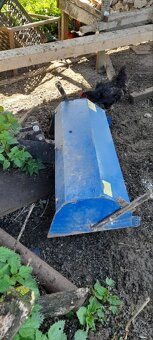 Predám kyprič pôdy RK800 na Vari - 2