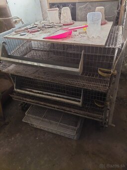Predam klietky na prepelice - 2
