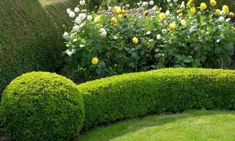 Mkm Garden servis - 2