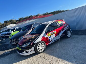 Peugeot 206 RC Rally 2.0 - 2