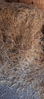 Predam pšeničnu slamu - 2