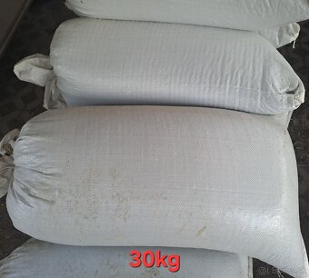 Slnečnica čierna - 2