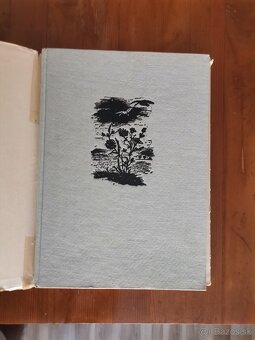 Balady a povesti - 2