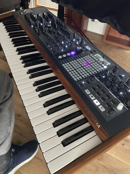 Arturia Polybrute - 2