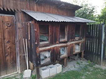 Zajčník - 2